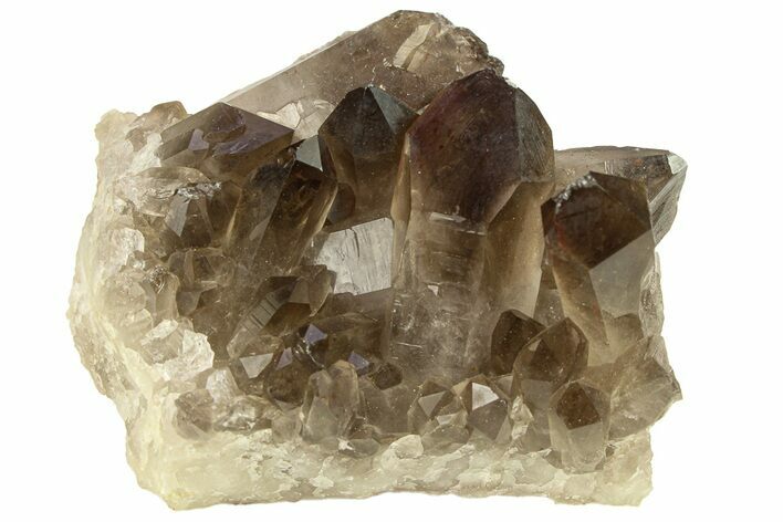 Dark Smoky Quartz Crystal Cluster - Brazil #302126